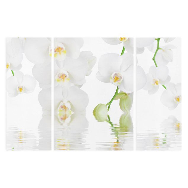 Print on canvas 3 parts - Spa Orchid - White Orchid
