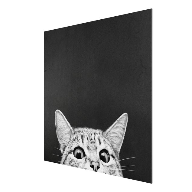 Print on forex - Illustration Cat Black And White Drawing