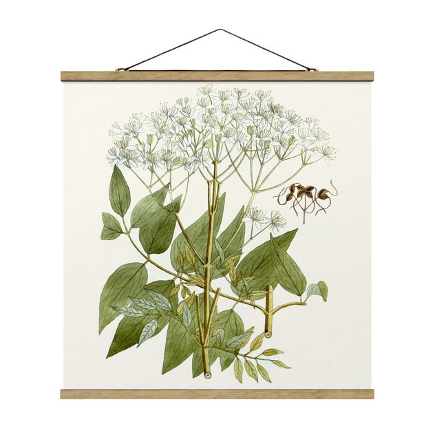 Fabric print with poster hangers - Wild Herbs Board V