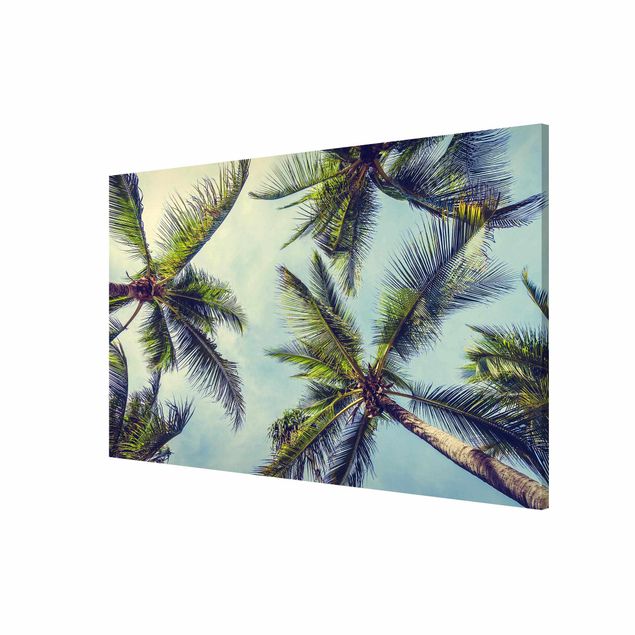 Magnetic memo board - The Palm Trees