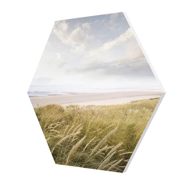 Forex hexagon - Divine Dunes