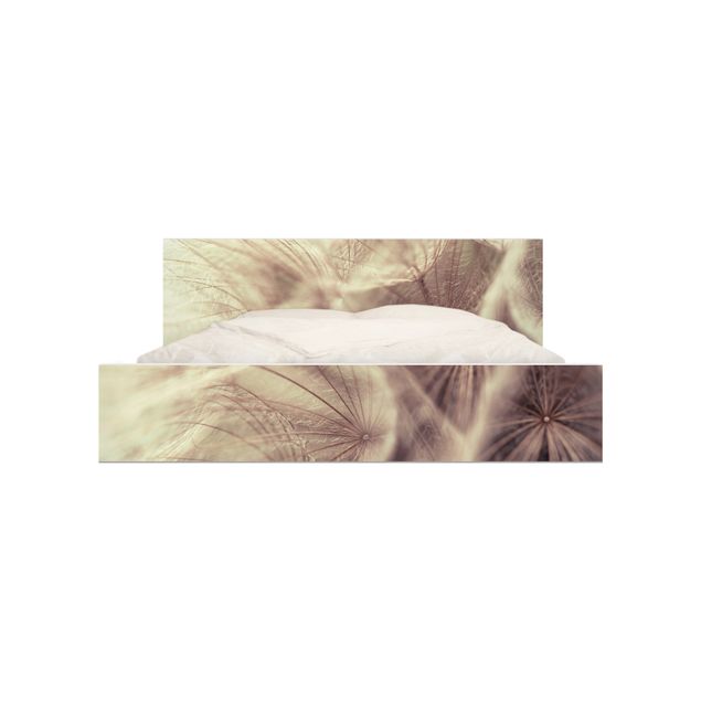 Adhesive film for furniture IKEA - Malm bed 140x200cm - Detailed Dandelion Macro Shot With Vintage Blur Effect