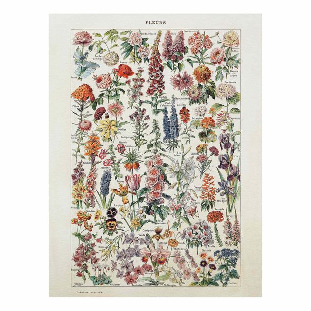 Print on forex - Vintage Board Flowers V