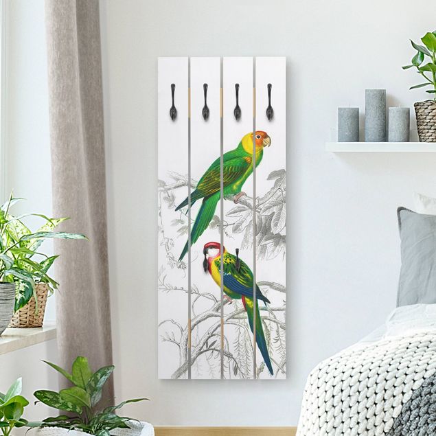 Coat rack - Vintage Wall Chart Two Parrots Green Red