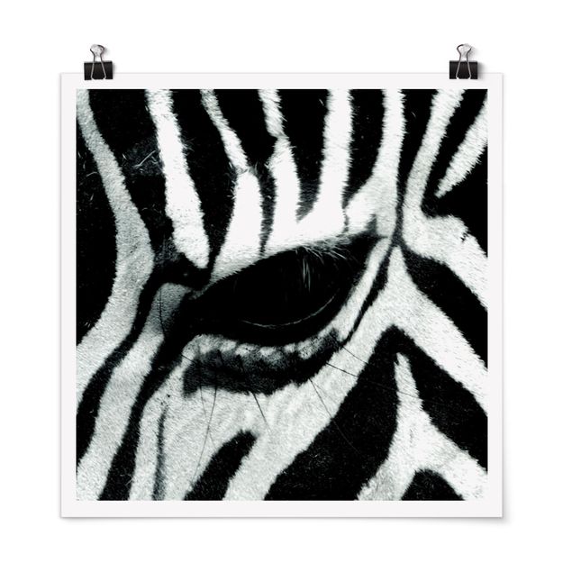 Poster - Zebra Crossing