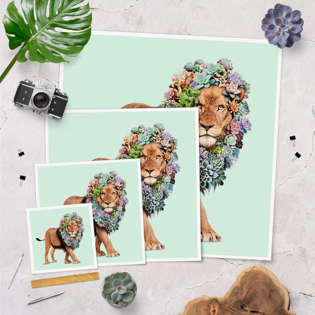 Poster - Lion With Succulents