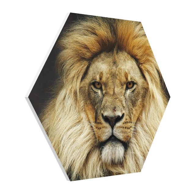 Forex hexagon - Wisdom Of Lion