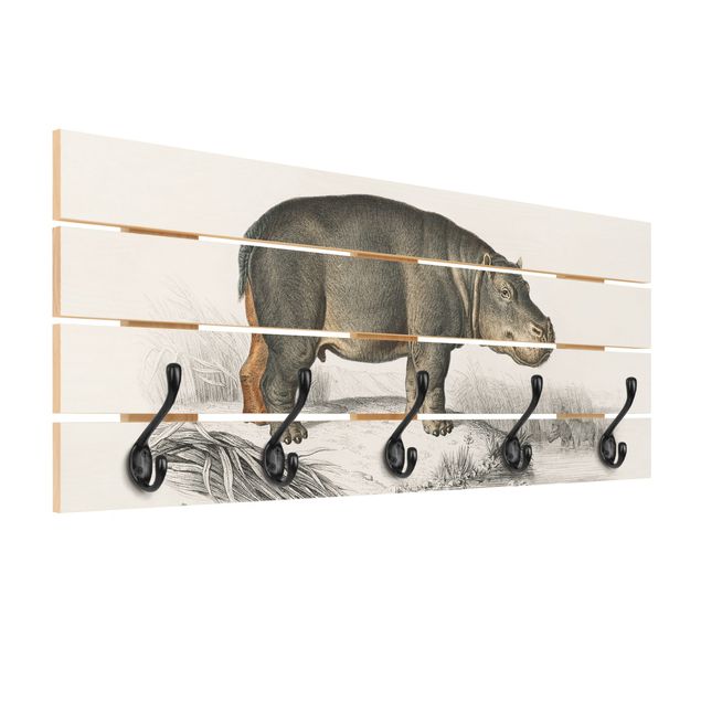 Coat rack - Vintage Board Hippo