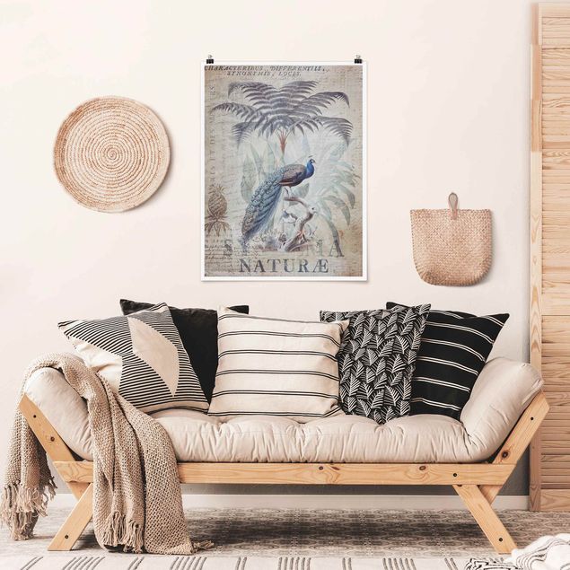 Poster - Shabby Chic Collage - Peacock
