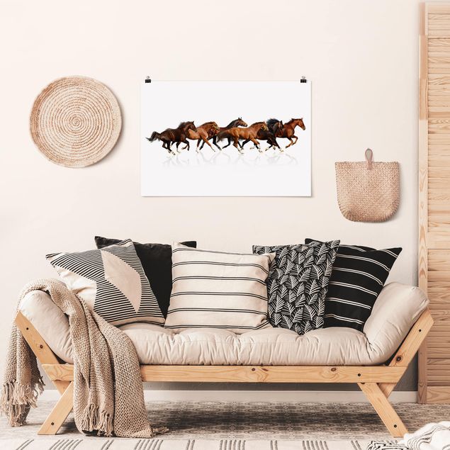 Poster - Horse Herd