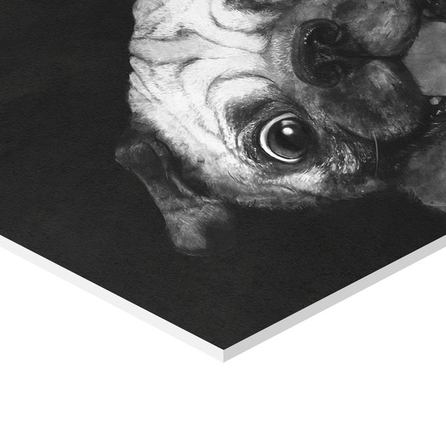 Forex hexagon - Illustration Dog Pug Painting On Black And White