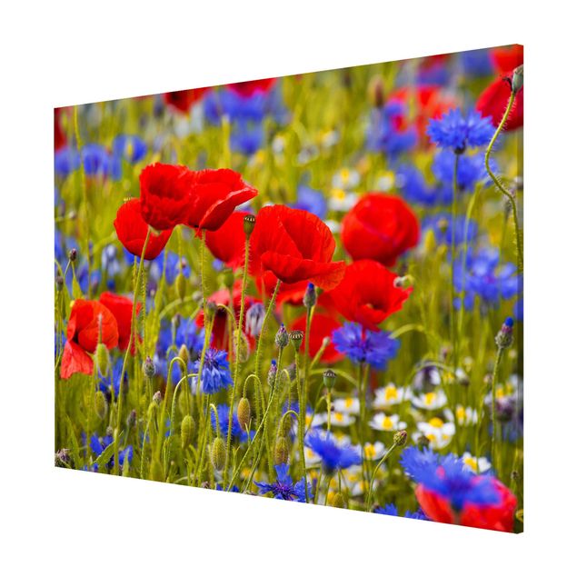 Magnetic memo board - Summer Meadow With Poppies And Cornflowers