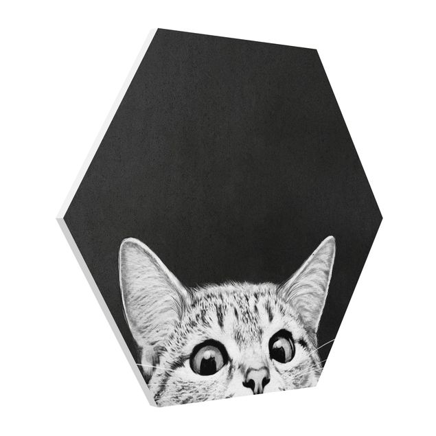 Forex hexagon - Illustration Cat Black And White Drawing