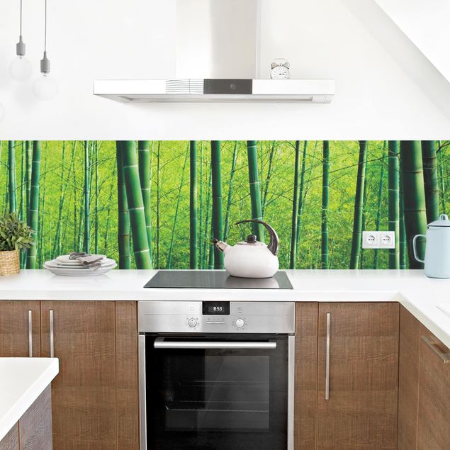 Kitchen splashbacks Bamboo Forest