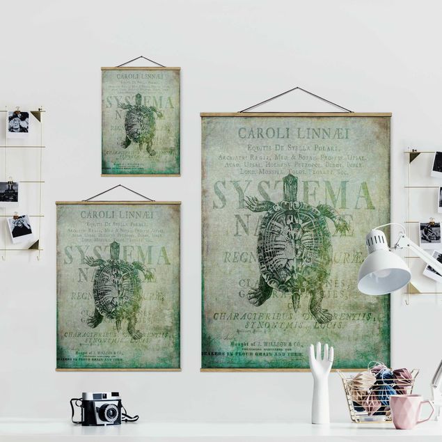 Fabric print with poster hangers - Vintage Collage - Antique Turtle