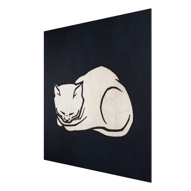 Alu-Dibond print - Sleeping Cat Illustration