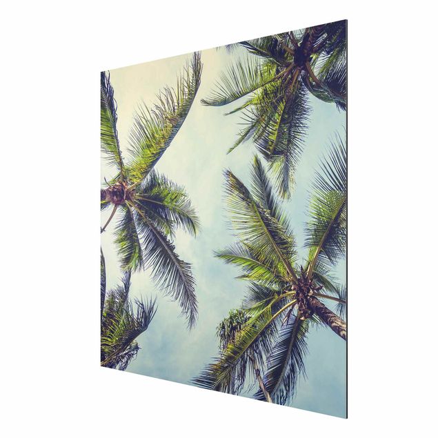 Print on aluminium - The Palm Trees