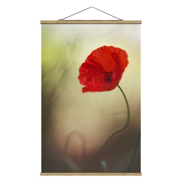 Fabric print with poster hangers - Poppy In The Garden