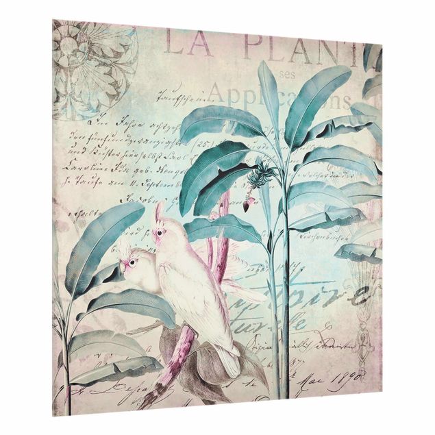 Glass splashback animals Colonial Style Collage - Cockatoos And Palm Trees