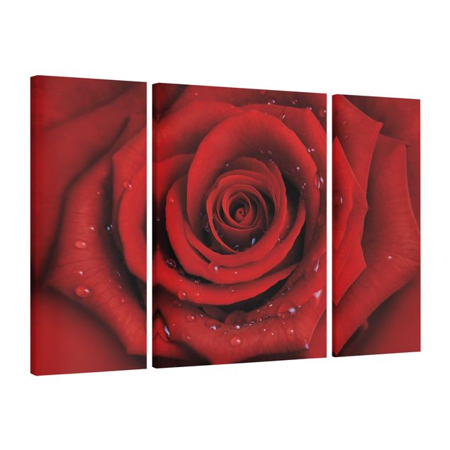 Print on canvas 3 parts - Red Rose With Water Drops