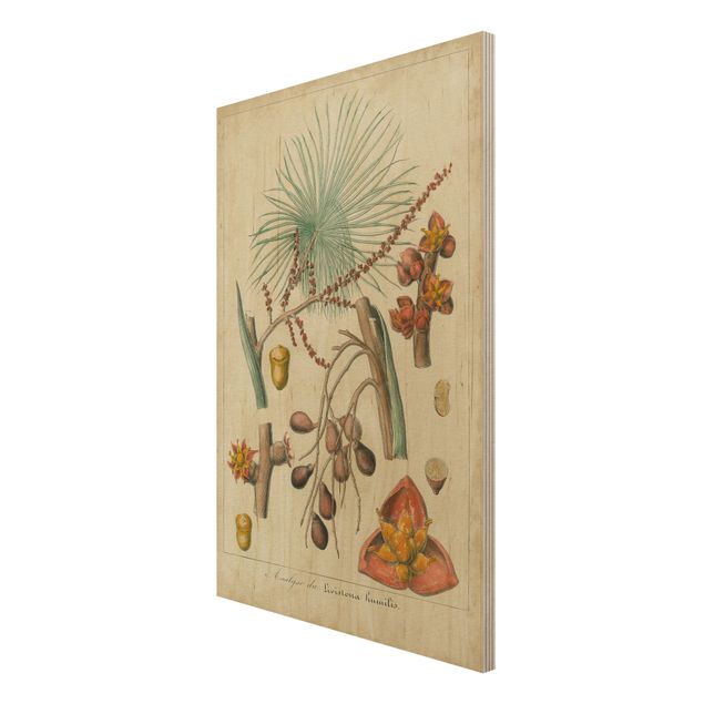 Print on wood - Vintage Board Exotic Palms III