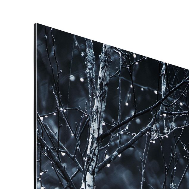 Print on aluminium - Dark Birch Tree In Cold Rain