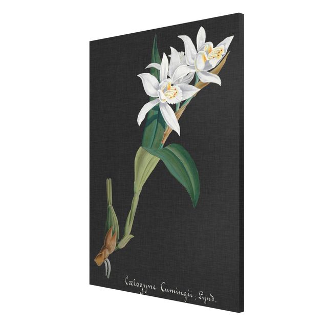Magnetic memo board - White Orchid On Linen II