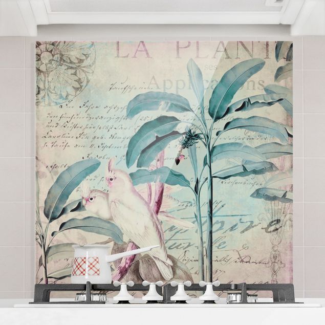 Glass splashback flower Colonial Style Collage - Cockatoos And Palm Trees