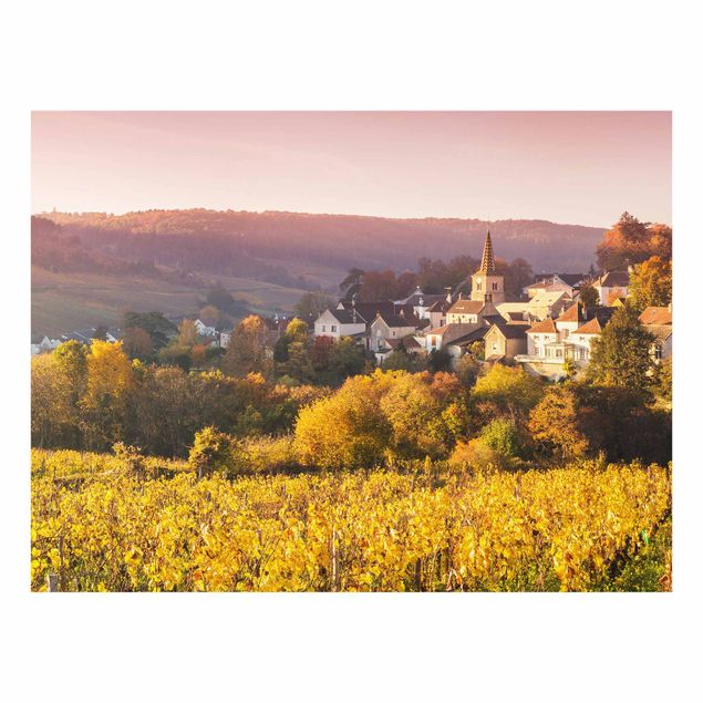Glass Splashback - Vineyards In France - Landscape format 4:3