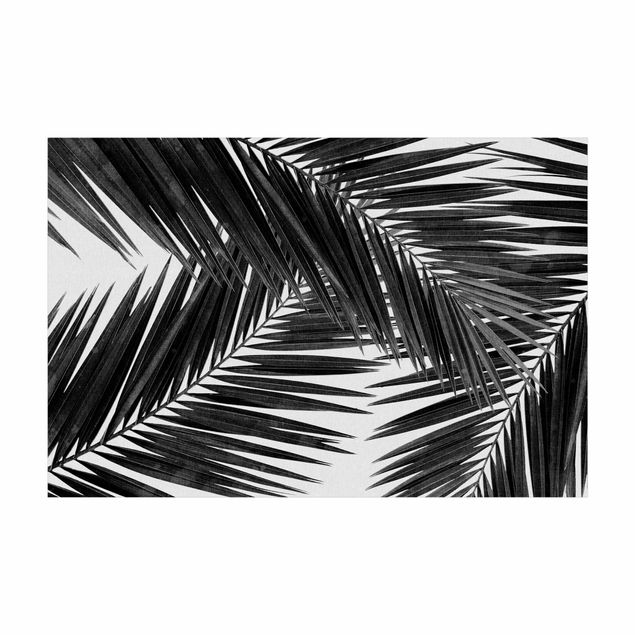 Black and white rugs View Through Palm Leaves Black And White