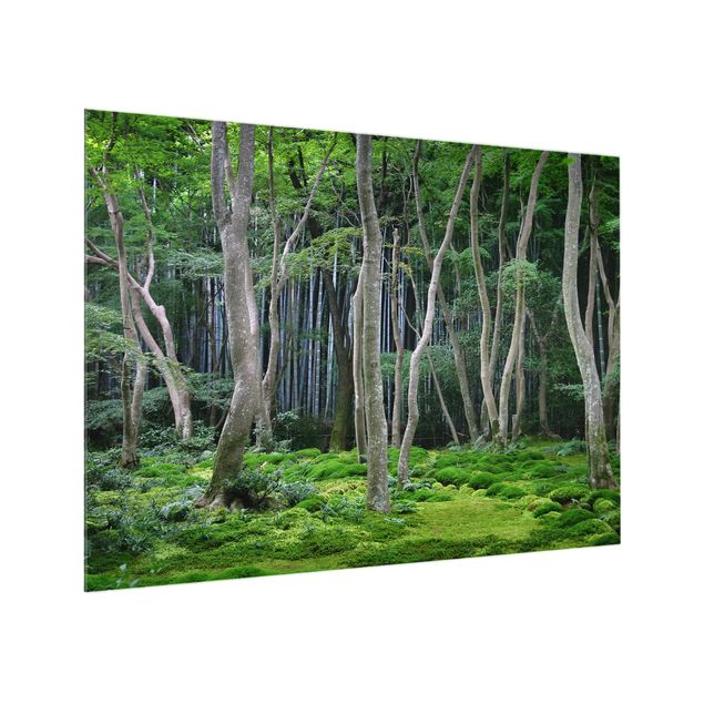 Glass Splashback - Japanese Forest - Landscape 3:4
