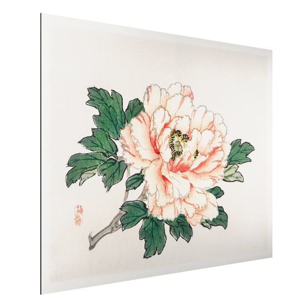 Dibond Asian Vintage Drawing Pink Chrysanthemum