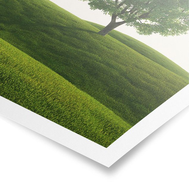 Poster nature & landscape - Green Tranquility