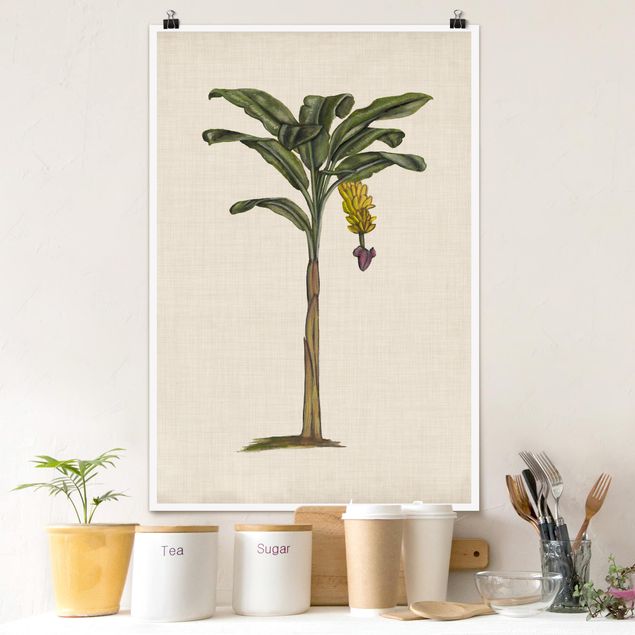 Poster flowers - British Palms III