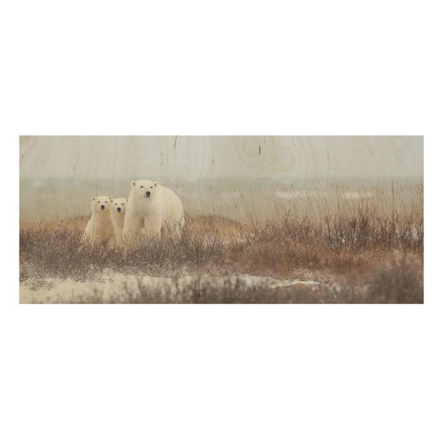 Wood print - Polar Bear And Her Cubs