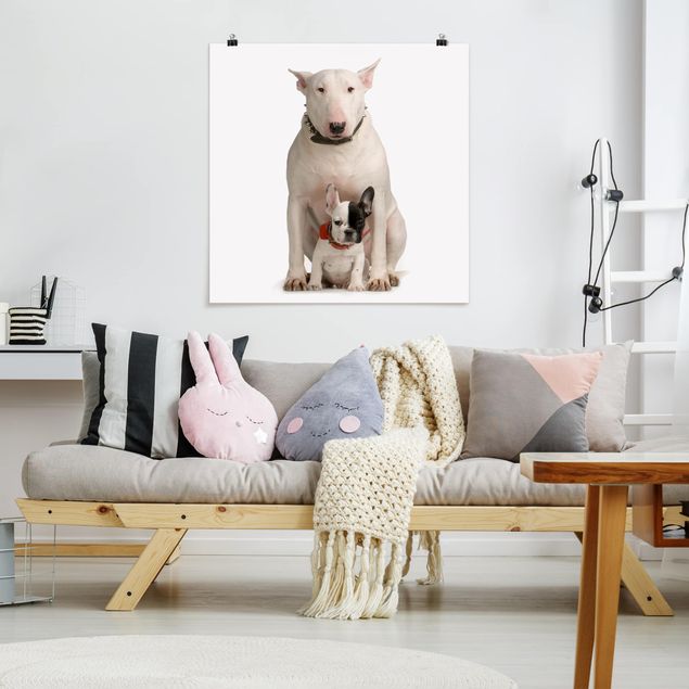 Poster - Bull Terrier and Friend