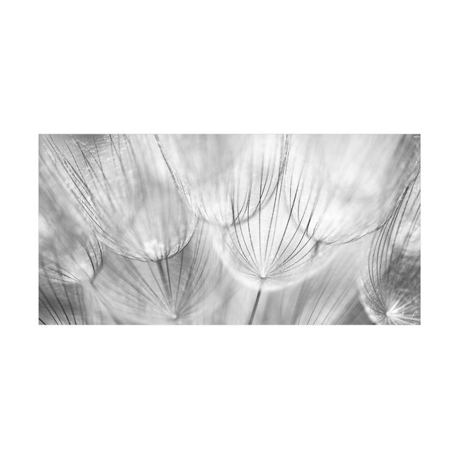 Floral rugs Dandelion Macro Shot In Black And White
