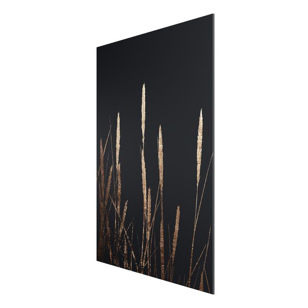 Alu-Dibond print - Graphical Plant World - Golden Reed
