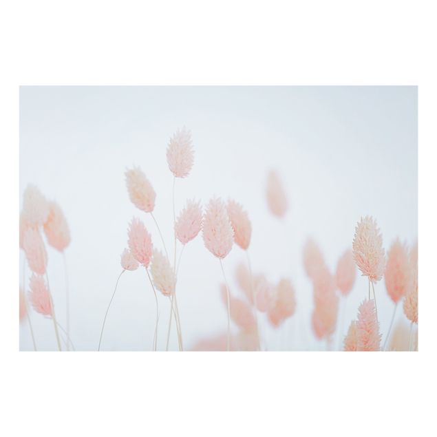 Splashback - Grass Tips In Pale Pink - Landscape format 3:2