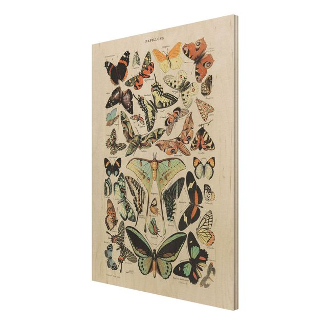 Print on wood - Vintage Board Butterflies And Moths