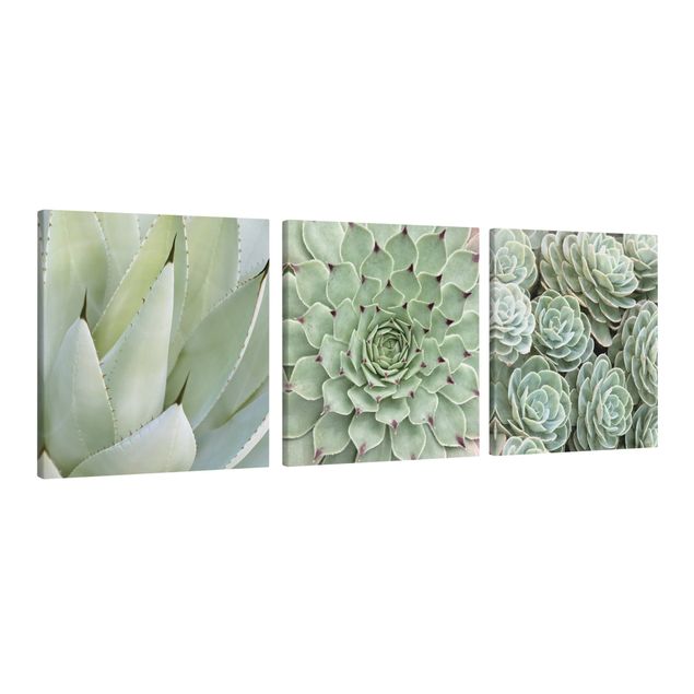 Print on canvas - Agave and Succulent Trio