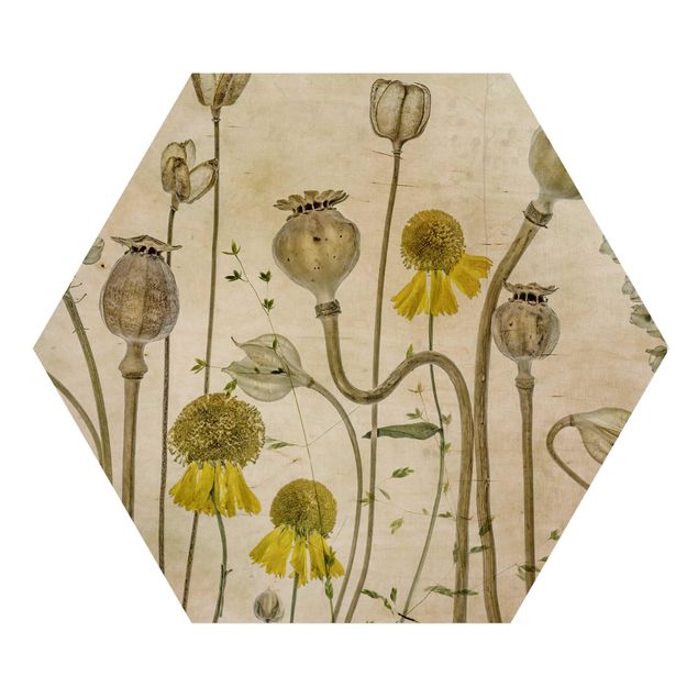 Wooden hexagon - Poppy And Helenium