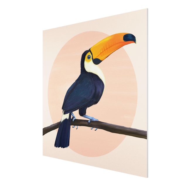 Print on forex - Illustration Bird Toucan Painting Pastel
