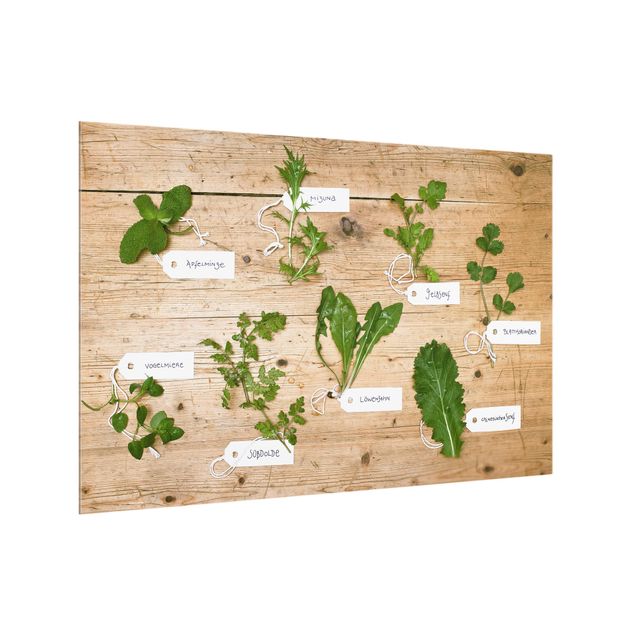 Glass splashback Herbs With Labeling