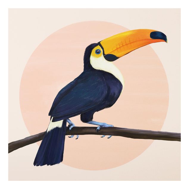 Print on forex - Illustration Bird Toucan Painting Pastel