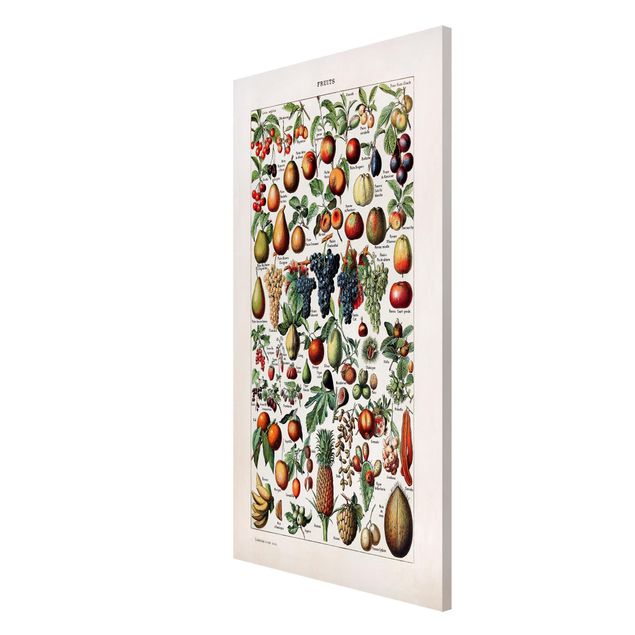 Magnetic memo board - Vintage Board Fruits