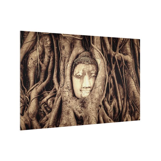Glass splashback Buddha In Ayutthaya Lined From Tree Roots In Brown