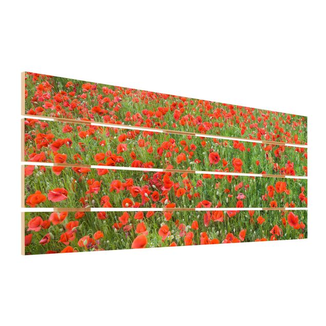 Print on wood - Poppy Field
