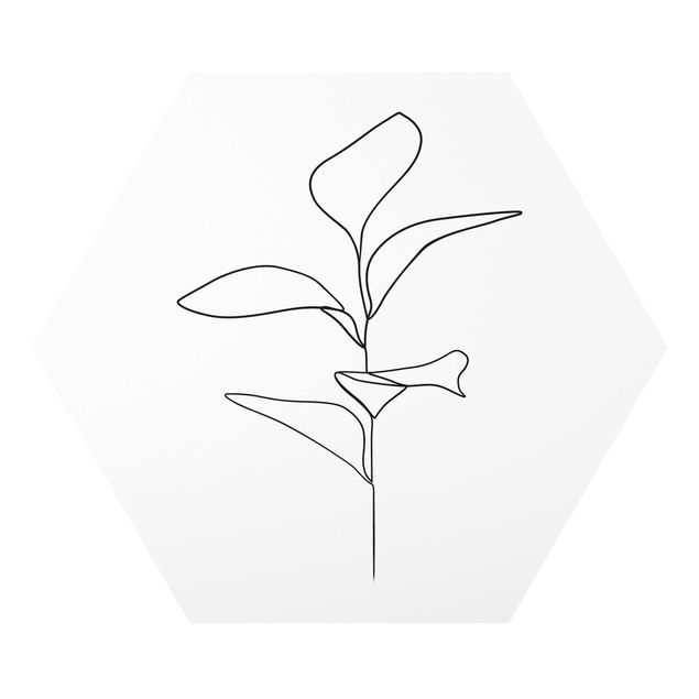 Forex hexagon - Line Art Plant Leaves Black And White