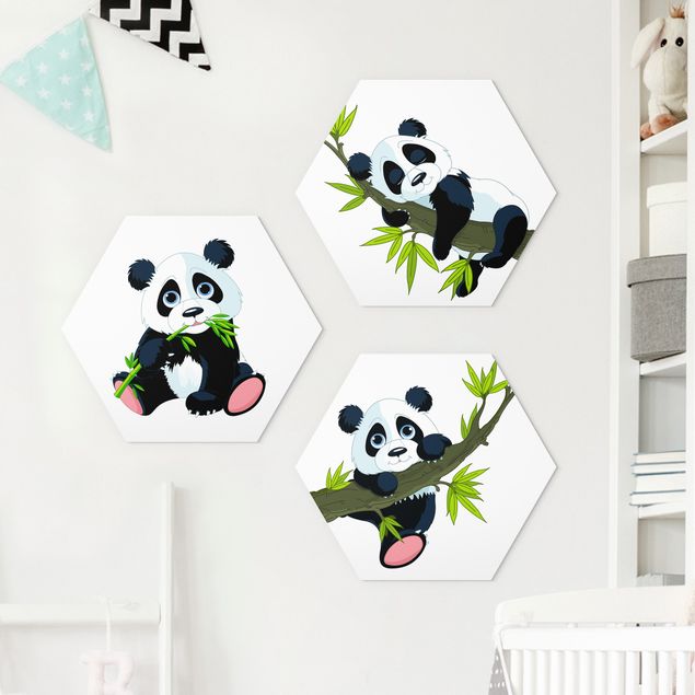 Forex hexagon - Panda set